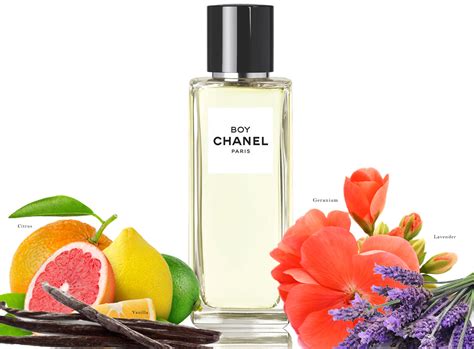 boy chanel parfumo